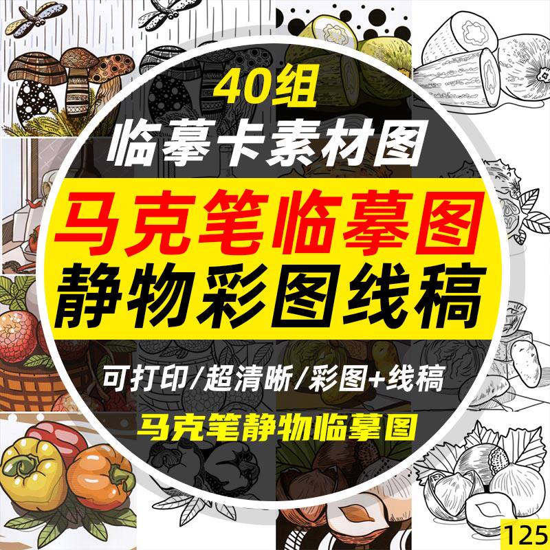 少儿创意美术马克笔静物绘画临摹彩图 黑白线稿图电子版素材
