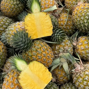 新鲜现摘海南芒果凤梨新鲜水果8斤现货发手撕凤梨无眼树上熟整箱