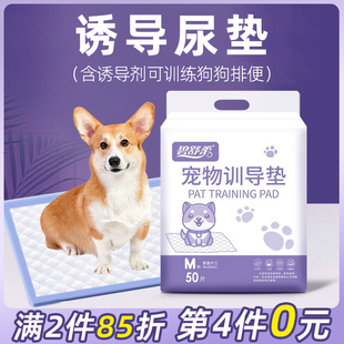 诱导排便狗狗尿垫去尿味除臭宠物尿片尿不湿吸水垫猫兔尿片隔尿垫