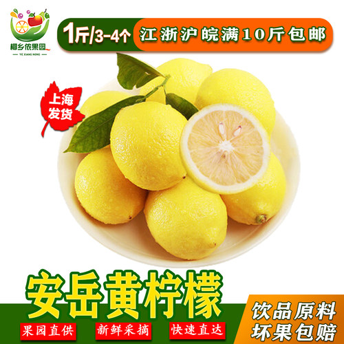 大果四川安岳新鲜包邮奶茶黄柠檬