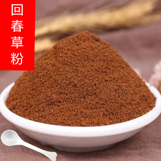 云南回春草粉野外生长顶天柱锁阳男性泡酒泡茶不老草回春草粉肾卜