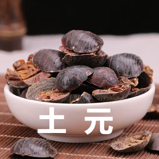 中药材正品土元新货土鳖虫地鳖虫蛰虫新鲜干货无碎渣散装500g包邮