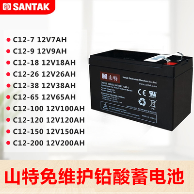 山特蓄电池不间断专用TG1000内置