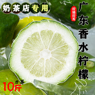 广东香水柠檬新鲜现摘正宗青柠檬精选一级果无籽香柠檬奶茶店专用