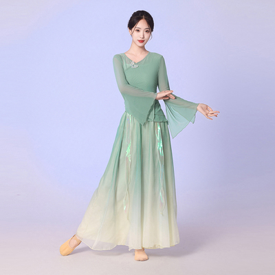 古典舞服装蝴蝶渐变飘逸仙气新款绝美纱衣女裙裤中国舞练功演出服