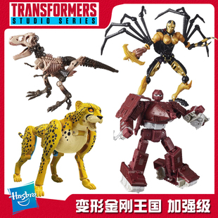 孩之宝 变形金刚围城王国蜘蛛勇士BW D级黑寡妇 黄豹 战戟 亘古龙