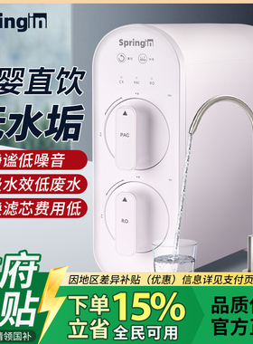 家用直饮纯水机一级水效厨房净水器自来水过滤大流量100Gro反渗透