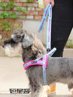 Truelove宠物马鞍胸背防爆冲佩戴便捷快套遛狗神器雪纳瑞