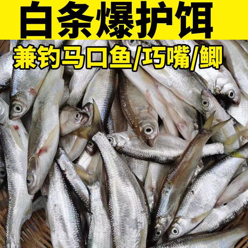 鱼饵野钓鲫鱼饵通杀饵料钓鱼饵料 鱼饵料 通杀拉饵料一包搞定鱼食 户外/登山/野营/旅行用品 台钓饵 原图主图