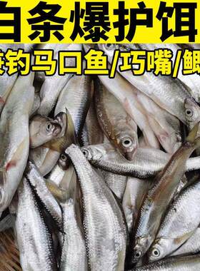 翘嘴雾化野钓浓腥鱼饵料