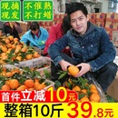 正宗重庆奉节脐橙现摘橙子水果新鲜纽荷尔产地直发礼盒官方旗舰店