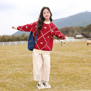 初中高中学生大童秋冬女加厚毛衣