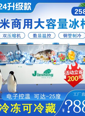 捷盛铜管制冷卧式大型冰柜