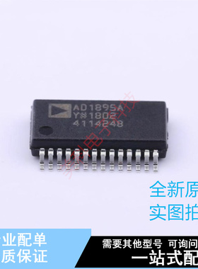 音频接口芯片 AD1895AYRSZ SSOP-28-208mil ADI 全新原装正品