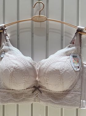 都市丽人LJH1A1加加厚AB杯上薄下厚无钢圈后五排扣调整型聚拢文胸