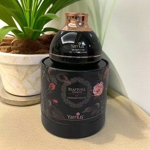 雅娜丝花雾朦胧蘑菇气垫美颜霜R244 2026