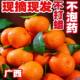 包邮 正宗广西桂林砂糖橘新鲜当季 整箱水果橘子鲜果无籽砂糖桔圆通