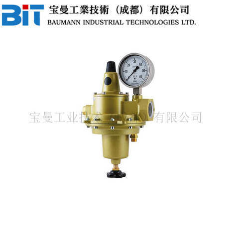 美国TESCOM Regulus 4双级调压器一体化泄压阀适用于恒定出口压力