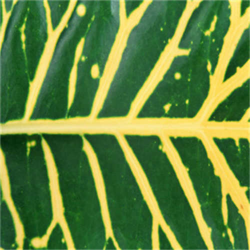 PHEV32 Variante 1_欧洲品牌，原厂直采，价格低廉，报价迅速，货