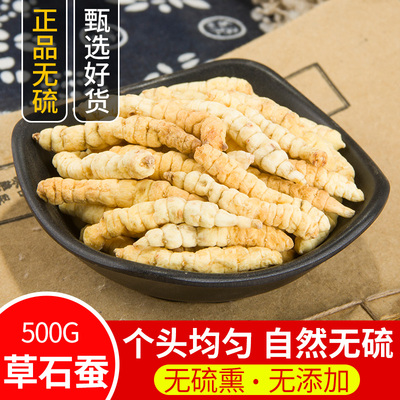 散装草石蚕中药材包邮正品新货