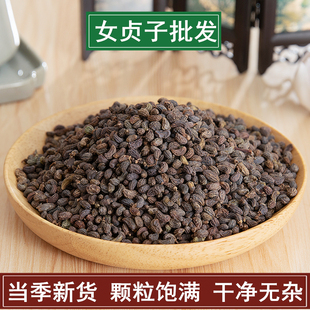 中药材女贞子 新货正品女贞实 冬青子 女真子500克包邮另有旱莲草