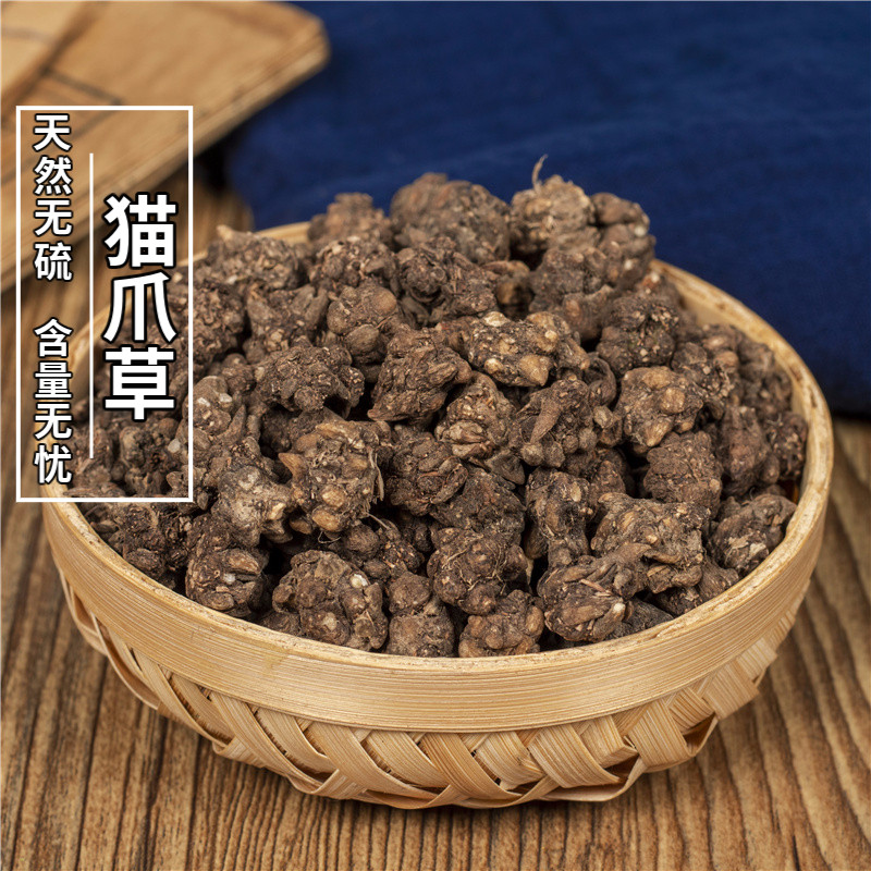 猫爪草新鲜煲汤中药材