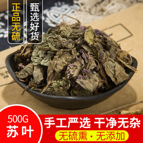 中药材苏叶正品紫苏叶纯天然新鲜