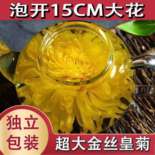 真龙天子花王超大朵泡开15cm一朵一壶菊花王独立包装黄菊花大花王