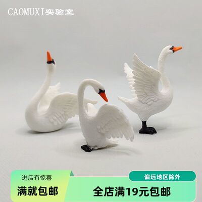 天鹅塑料仿真动物模型