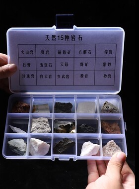 花岗岩石标本组合岩石矿物化石矿标本馈赠原石儿童科普教学展示