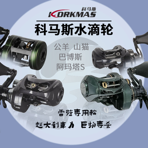 科马斯阿玛塔S巴博斯山猫