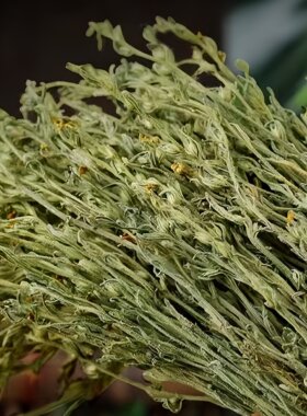 独脚金疳积草小儿煲汤料