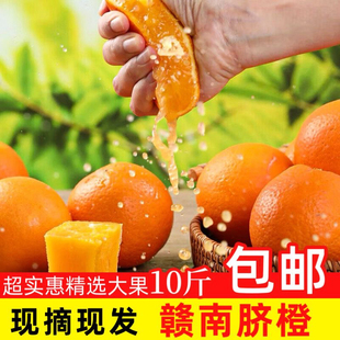 正宗赣南脐橙3/5/10斤橙子应当季水果新鲜赣州果冻橙手剥冰糖甜橙