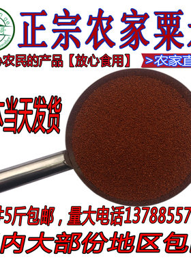 【农甜哥】容县特产鸭脚粟龙爪粟