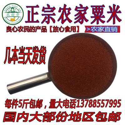 【农甜哥】容县特产鸭脚粟龙爪粟