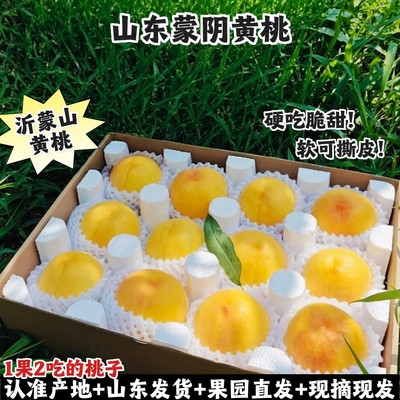 蒙阴黄桃山东黄金蜜桃脆软现摘