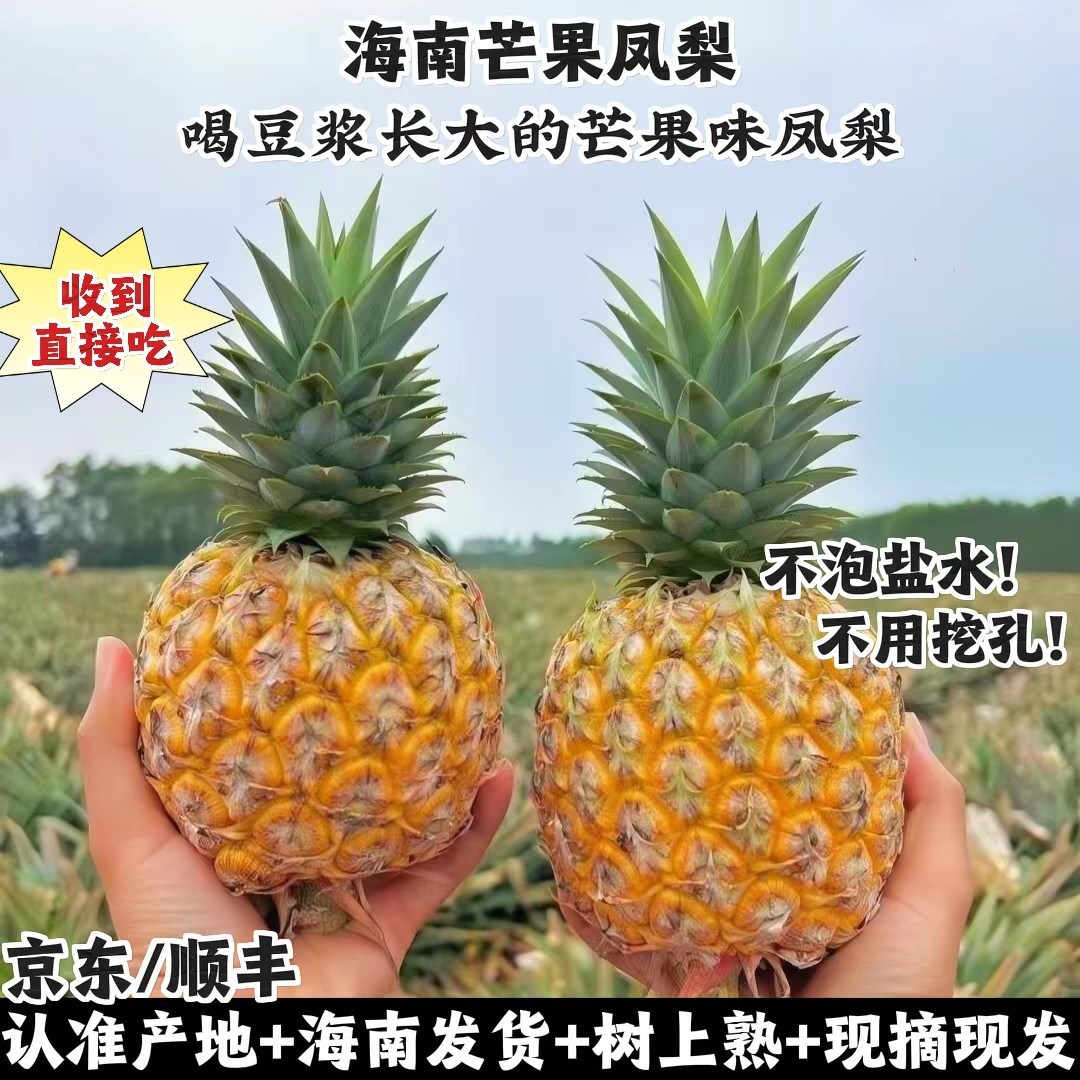海南芒果凤梨正宗澄迈豆奶金钻芒果味凤梨纯甜新鲜应季水果现摘发