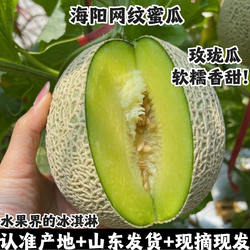 网纹瓜玫珑瓜山东海阳冰淇淋甜瓜当季新鲜水果现摘现发孕妇水果