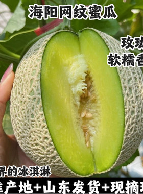 网纹瓜玫珑瓜冰淇淋甜香瓜现摘