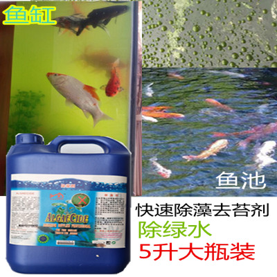 直销水剂净水包邮5l青苔褐藻