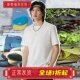 文化衫 李宁正品 透气舒适休闲运动潮流圆领短袖 时尚 AHSS895 T恤新品
