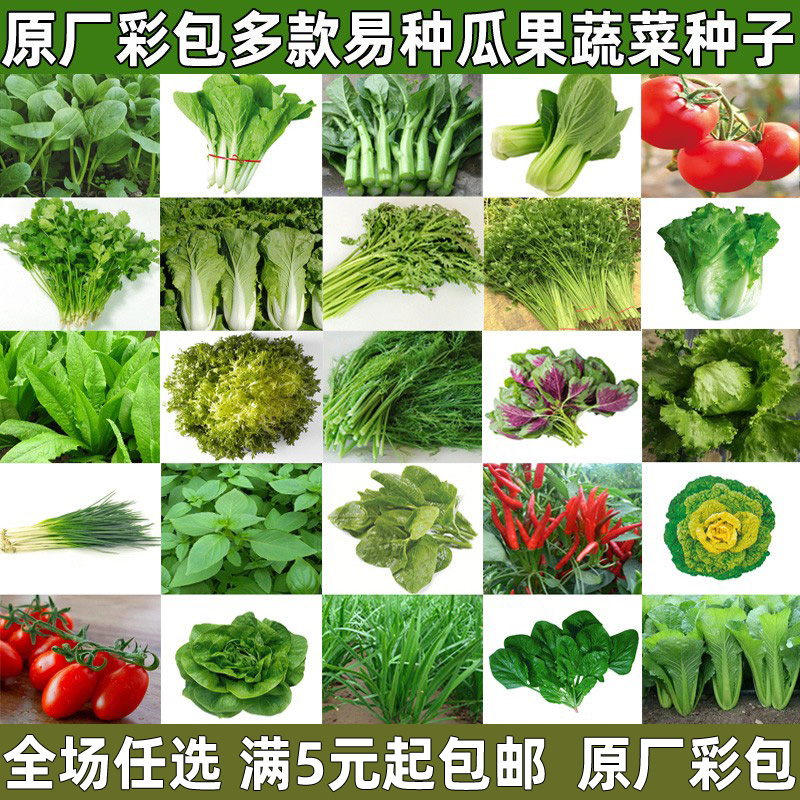 蔬菜种子大全庭院阳台盆栽四季播易种生菜黄瓜西瓜香菜春季菜籽种