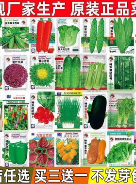 蔬菜种子四季播盆栽阳台庭院香菜生菜黄瓜西瓜南瓜春季菜籽种大全