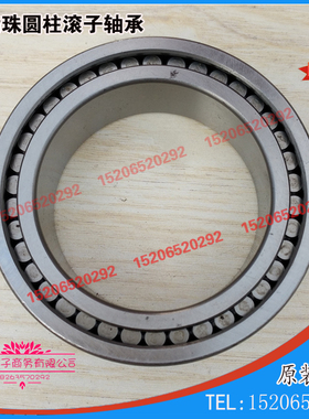 挖掘机专用轴承 NNCF 5019V SL185019