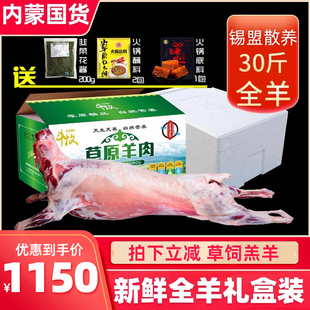 内蒙古整只羊新鲜羊肉白条羊现杀全羊锡盟羔羊整羊包邮30斤羊酮体
