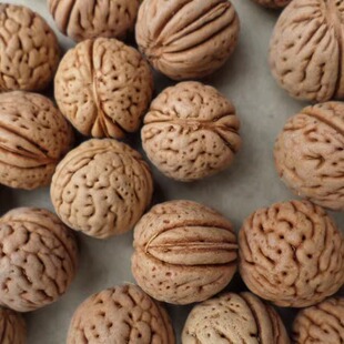 苹果圆脑纹水纹桃核16-24mm佛念珠手串磨光珠雕刻原料散籽按斤