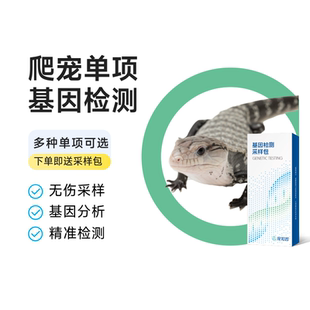 宠知因 | 异宠爬宠物蛇蓝舌松果蜥基因检测单项性别鉴定直线无鳞