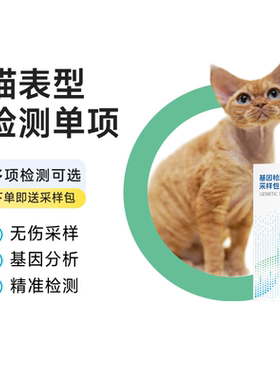 宠知因宠物猫表型基因检测单项塞尔凯克卷毛DBE蓝眼无毛矮脚