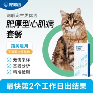 遗传病检测肥厚型心肌病套餐 宠知因 宠物猫咪基因检测