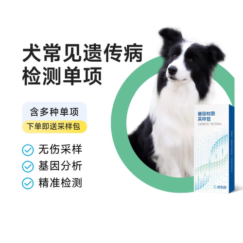 宠主优选犬常见遗传病检测单项